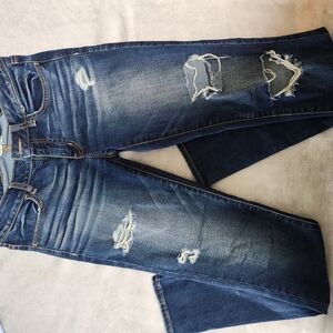 American Eagle Outfitters Blue Distressed Jeggings